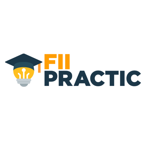FII Practic